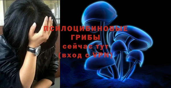 трава Арсеньев