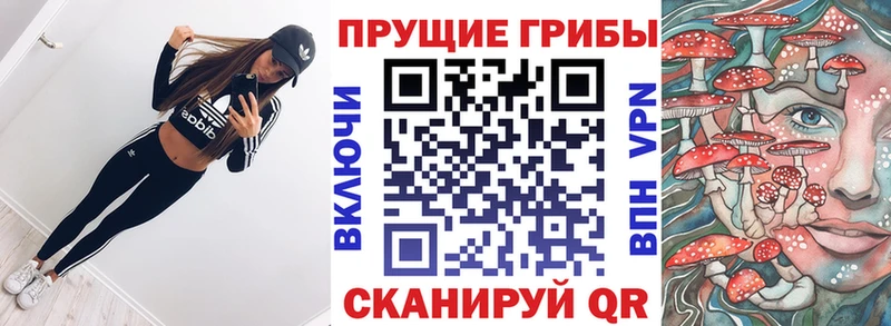Галлюциногенные грибы Cubensis купить наркотики цена Урень